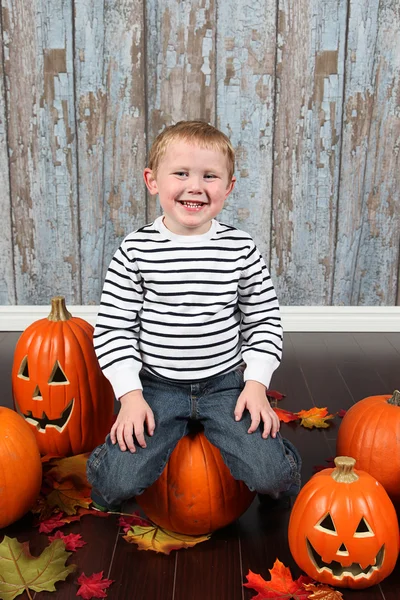 Cute little boy with pumpkins — Stock Photo, Image