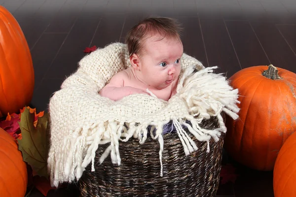 生まれたばかりの赤ちゃんのポーズ女の子カメラ — ストック写真