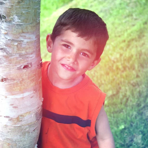 Little boy near  birch — Stock Photo, Image