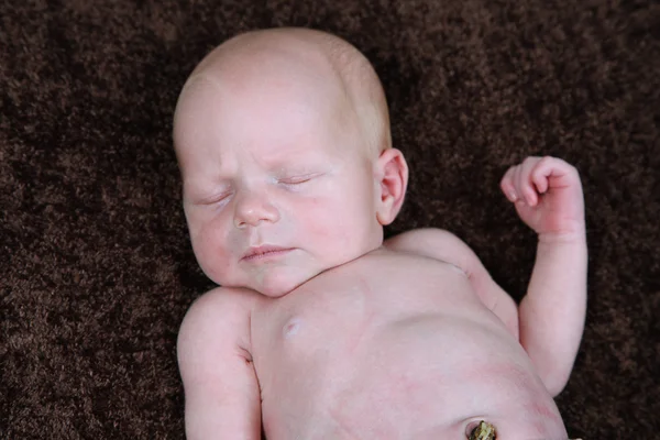 Newborn baby boy posing — Stock Photo, Image