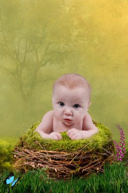 Bebek yuvaya