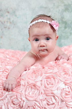 Yeni doğan bebek gül paket üzerinde