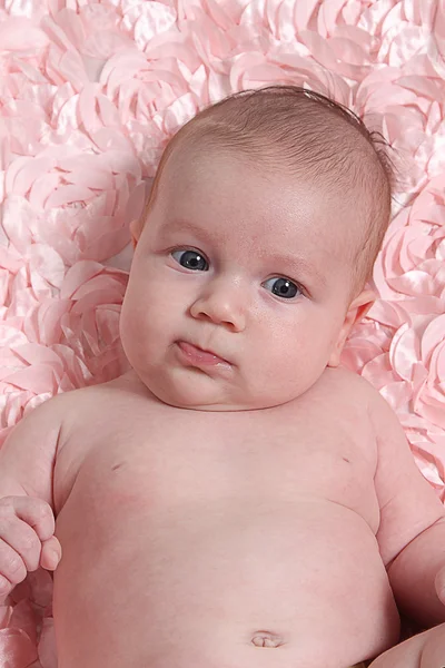 Newborn baby on rose blanket — Stock Photo, Image