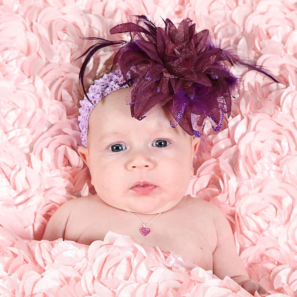 Newborn baby on rose blanket — Stock Photo, Image