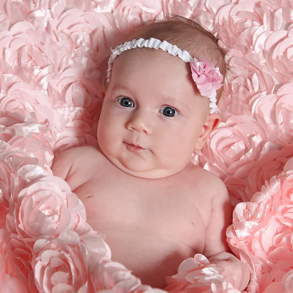 Newborn baby on rose blanket — Stock Photo, Image