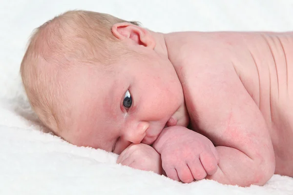 Pasgeboren babyjongen — Stockfoto