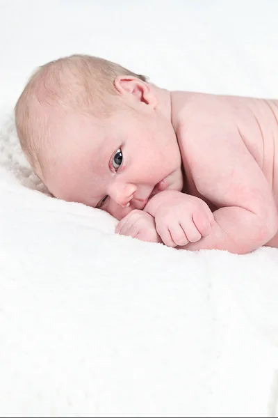 Newborn baby boy — Stock Photo, Image