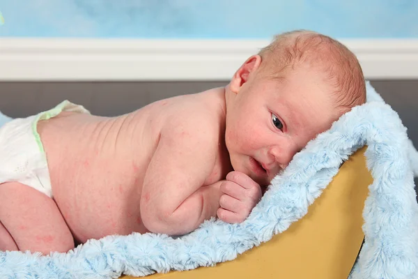 Newborn baby boy — Stock Photo, Image