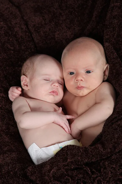 Hermano y hermana recién nacidos acostados sobre una manta marrón —  Fotos de Stock