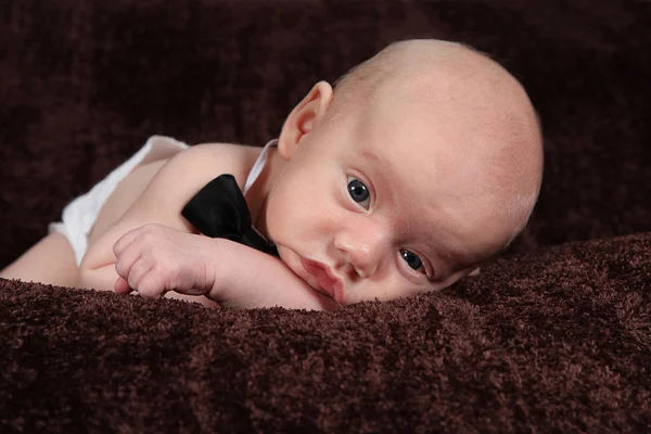 Little boy in bow tie lying on blanket — Stock Photo, Image