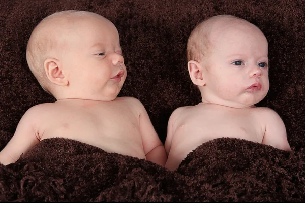 Новорожденные брат и сестра лежат на коричневом одеяле — стоковое фото
