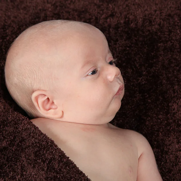 Newborn baby lying on brown blanket — Stock Photo, Image