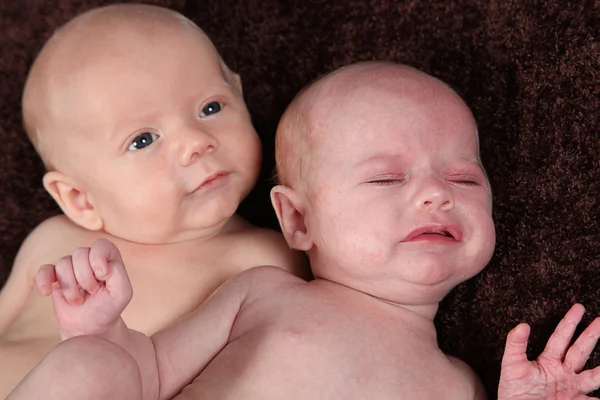 Neugeborenes Geschwisterpaar liegt auf brauner Decke — Stockfoto