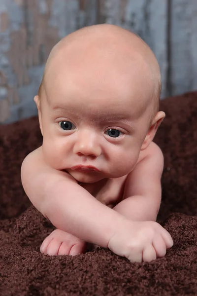 Newborn baby lying on brown blanket — Stock Photo, Image