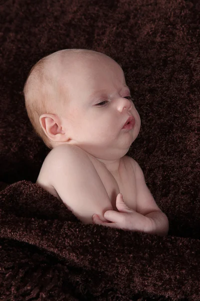 Newborn baby sleeping on brown blanket — Stock Photo, Image