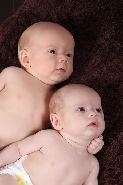 Newborn brother and Sister lying on brown blanket — Stock Photo, Image