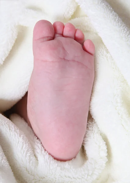 Little foot in blanket — Stock Photo, Image