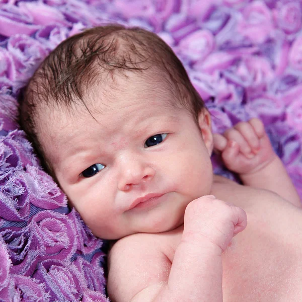Novorozená dívka leží na fialovou deku — Stock fotografie