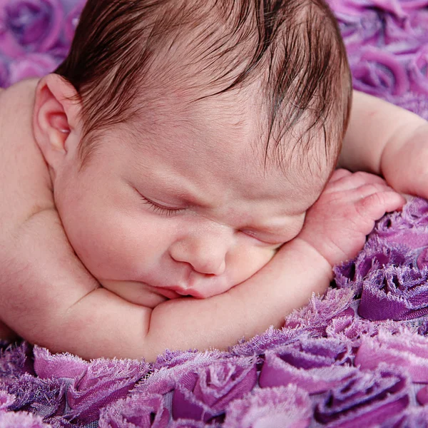 Newborn Girl sleeping on purple blanket — Stock Photo, Image