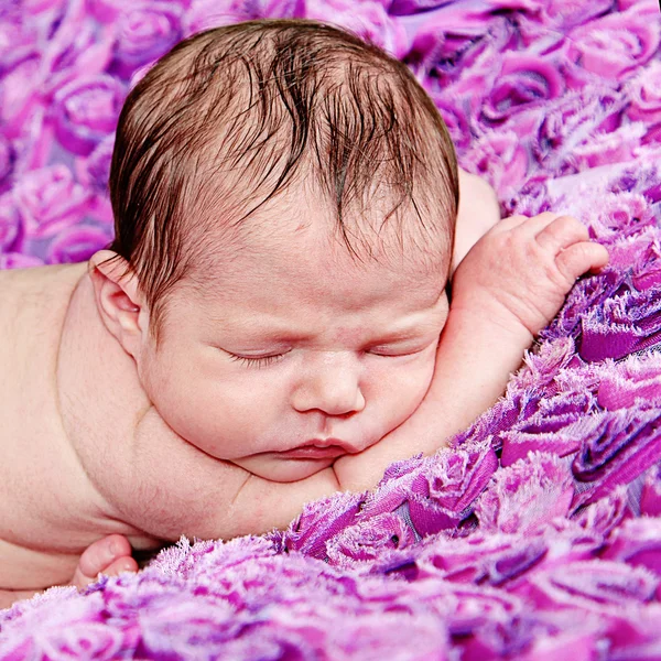 Newborn Girl sleeping on purple blanket — Stock Photo, Image