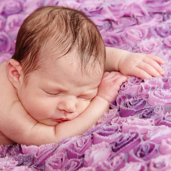 Newborn Girl sleeping on purple blanket — Stock Photo, Image