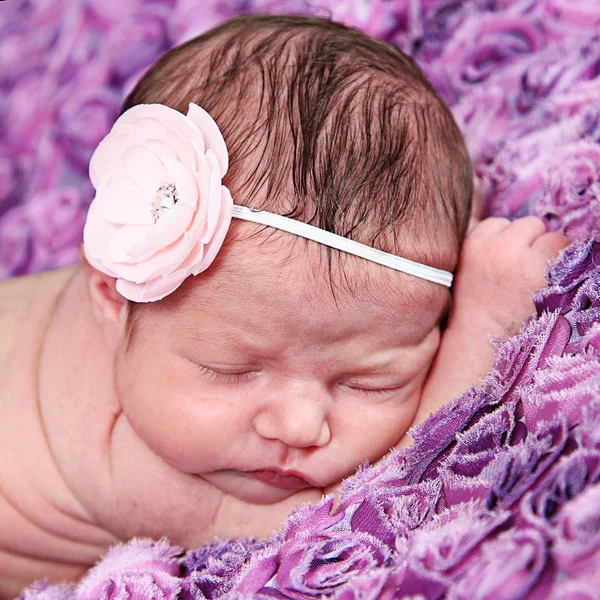 Newborn Girl sleeping on purple blanket — Stock Photo, Image