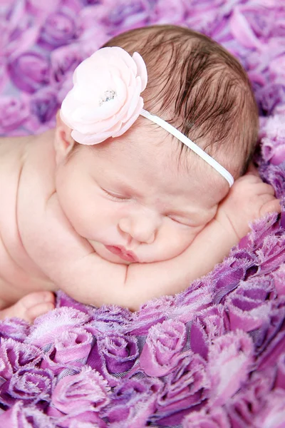 Newborn Girl sleeping on purple blanket — Stock Photo, Image