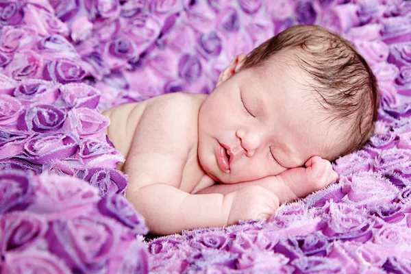 Pasgeboren meisje slapen op paarse deken — Stockfoto