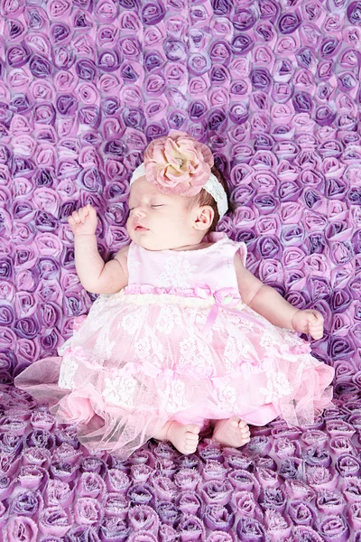 Menina recém-nascida dormindo no cobertor roxo — Fotografia de Stock