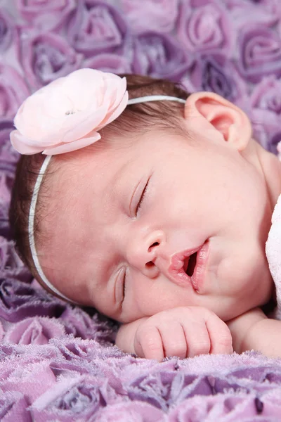 Novorozená dívka spí na fialovou deku — Stock fotografie