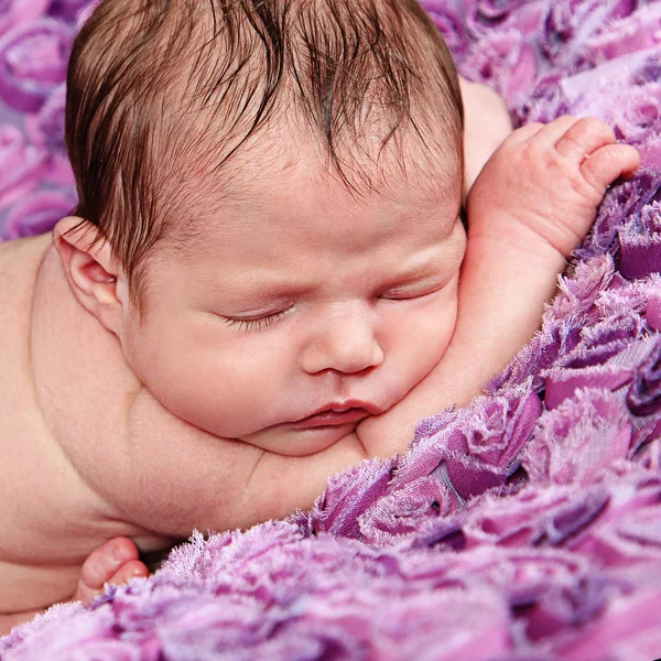 Newborn Girl sleeping on purple blanket — Stock Photo, Image