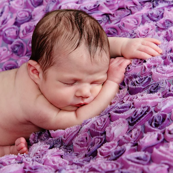 Newborn Girl sleeping on purple blanket — Stock Photo, Image