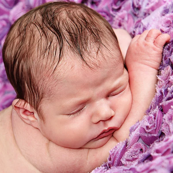 Newborn Girl sleeping on purple blanket — Stock Photo, Image