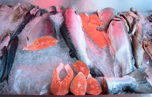 Fresh raw salmon on ice counter — Stock Photo, Image
