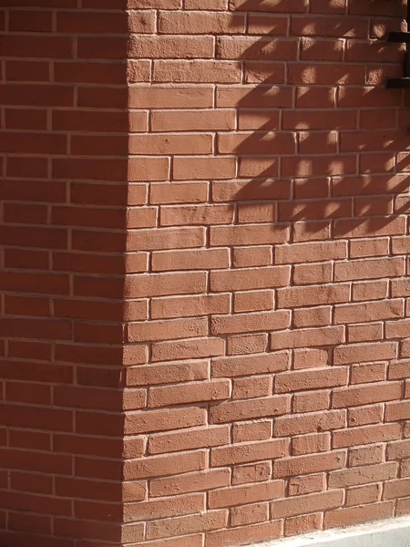 Ścianki cegły z cień drabina — Zdjęcie stockowe