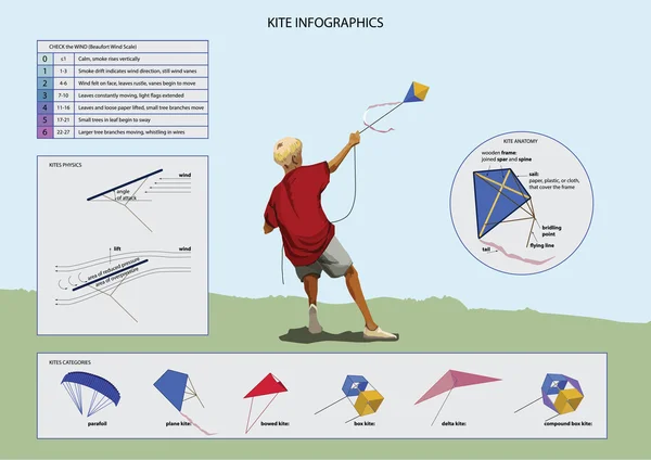 Set of Kites Inf-ographic Elements — Stock Vector