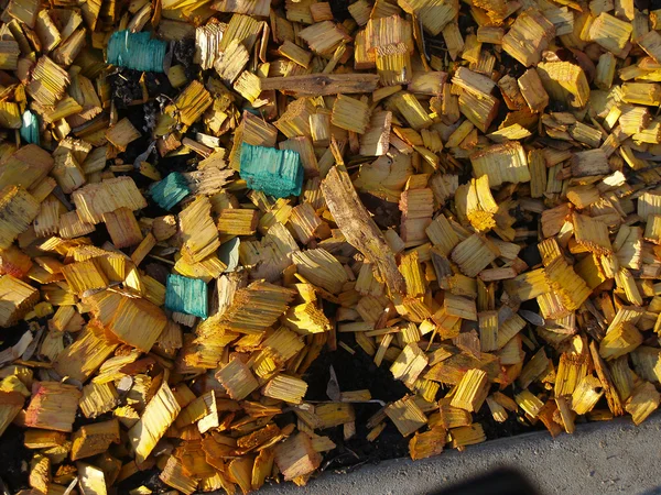 Wood chips — Stock Photo, Image