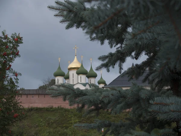 Церква і дерев — стокове фото