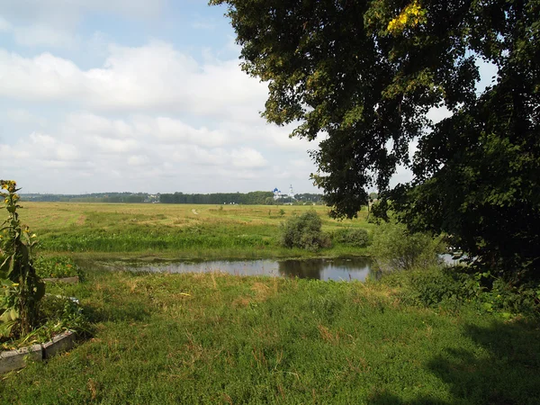 Veien til middelalderkirken Pokrova-na-Nerli – stockfoto