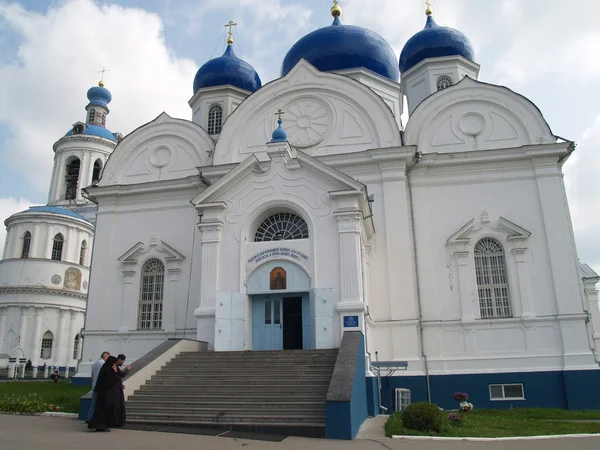 수도원 Vladimir — 스톡 사진