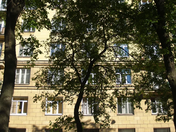 Vue d'été urbaine — Photo