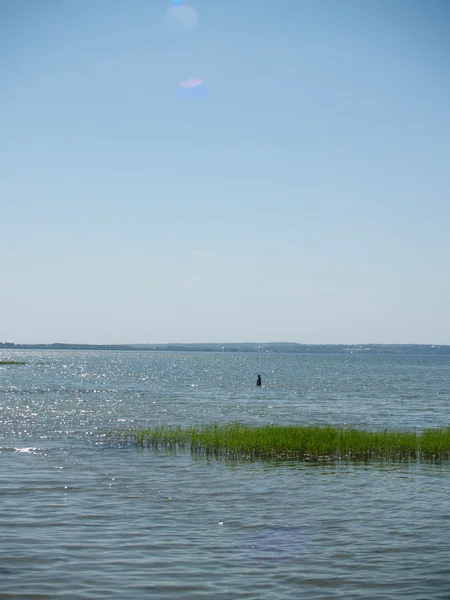 Grass island — Stock Photo, Image