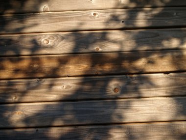 Yıpranmış ahşap arka plan