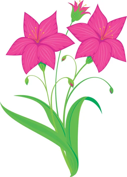 Flores rosadas — Vector de stock