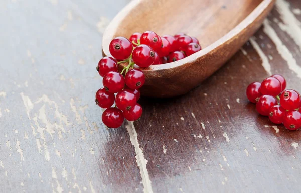 Frische rote Johannisbeeren. — Stockfoto