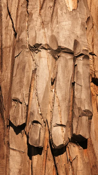 Vieux fond en bois — Photo