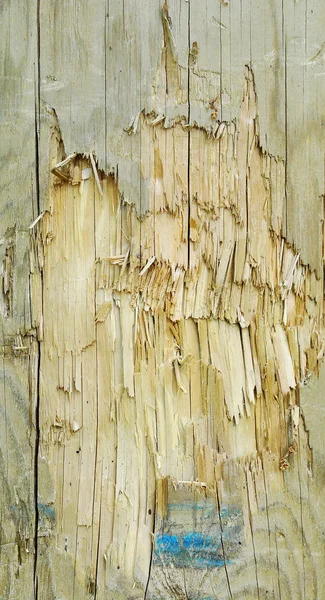 Texture en bois fond. — Photo