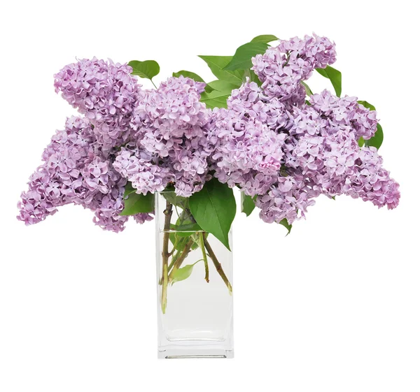 Bouquet de lilas — Photo