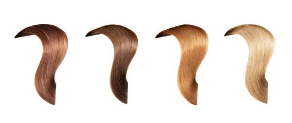 Hair Colors — Stock Photo, Image