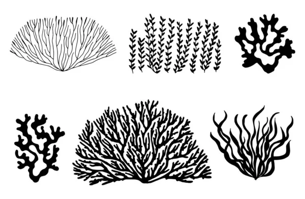 Corales Marinos Silueta Negra Algas Marinas Vector Aislado — Vector de stock